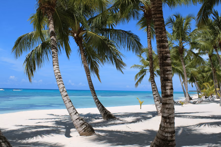 Tropical beach with palm trees and turquoise Caribbean water