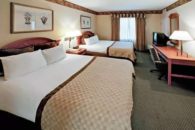 Castle Hotel Orlando Timeshare Special Promotion