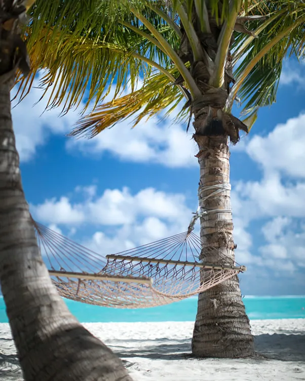 Timeshare Vacation Packages