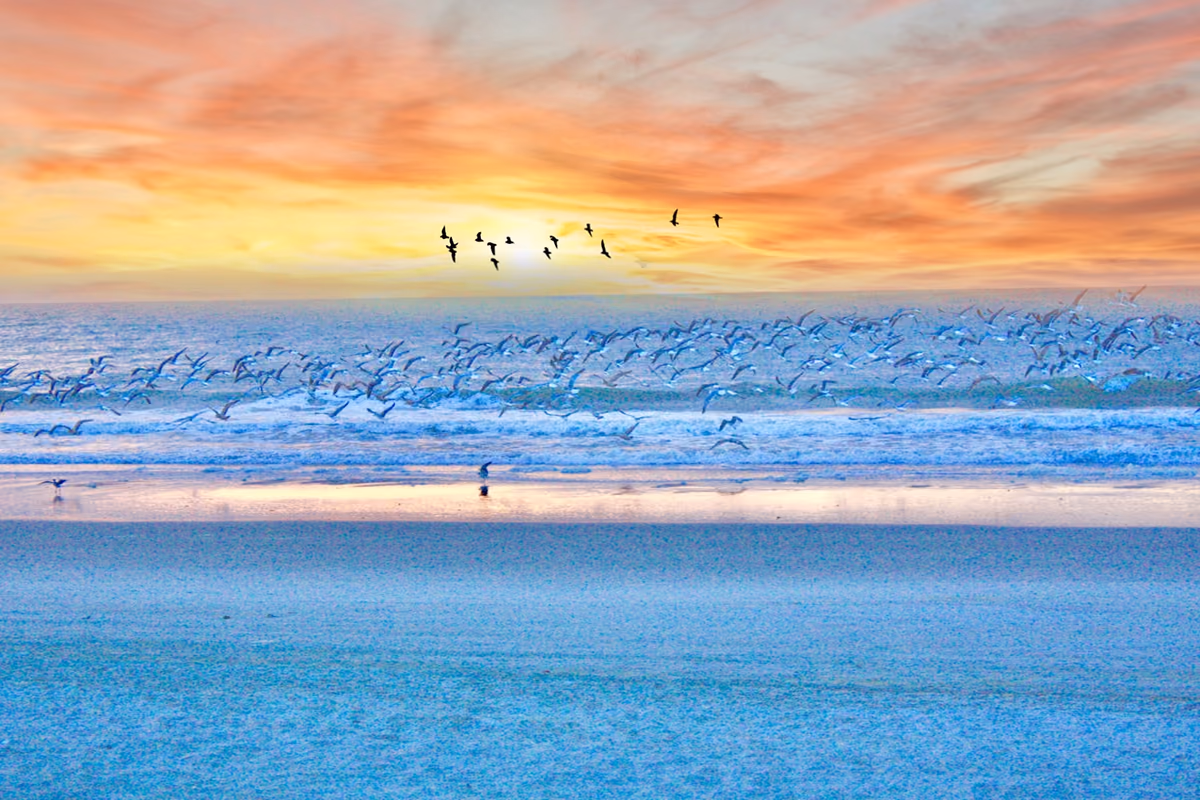 Myrtle Beach shoreline with birds flying over the ocean at sunset