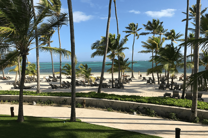 Palm-lined beach and Caribbean resort in Punta Cana, Dominican Republic